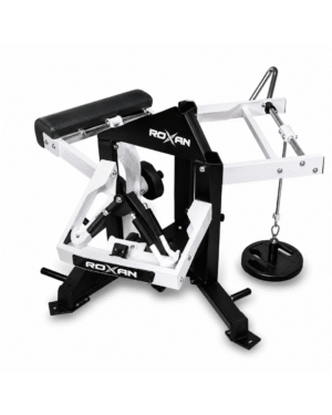 Roxan Plate Loaded Seated Calf Raise Machine
